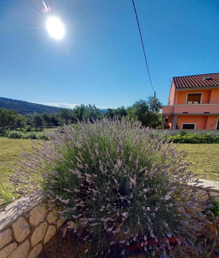 Apartman Stela Daire Rab Town Dış mekan fotoğraf
