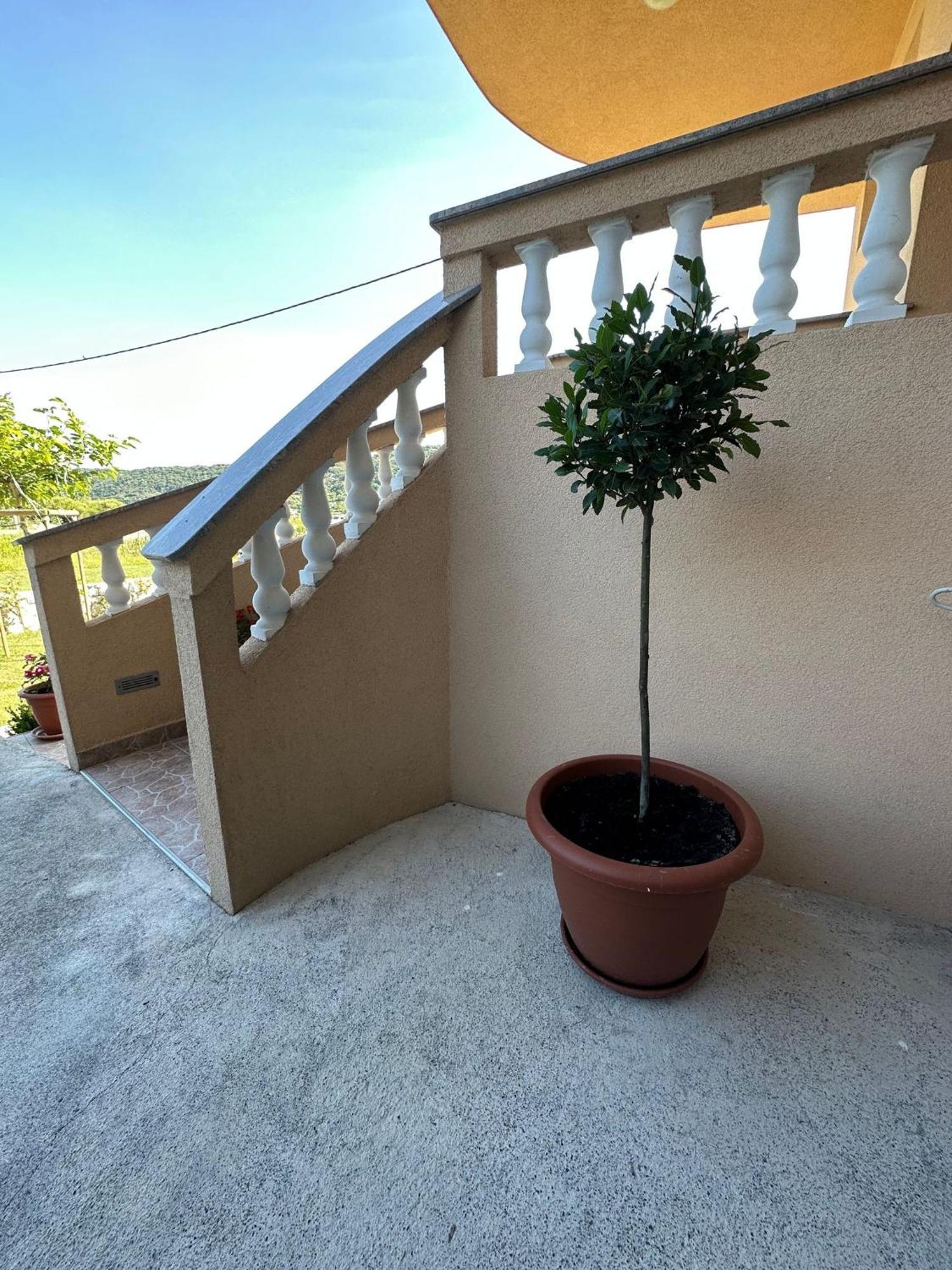 Apartman Stela Daire Rab Town Dış mekan fotoğraf