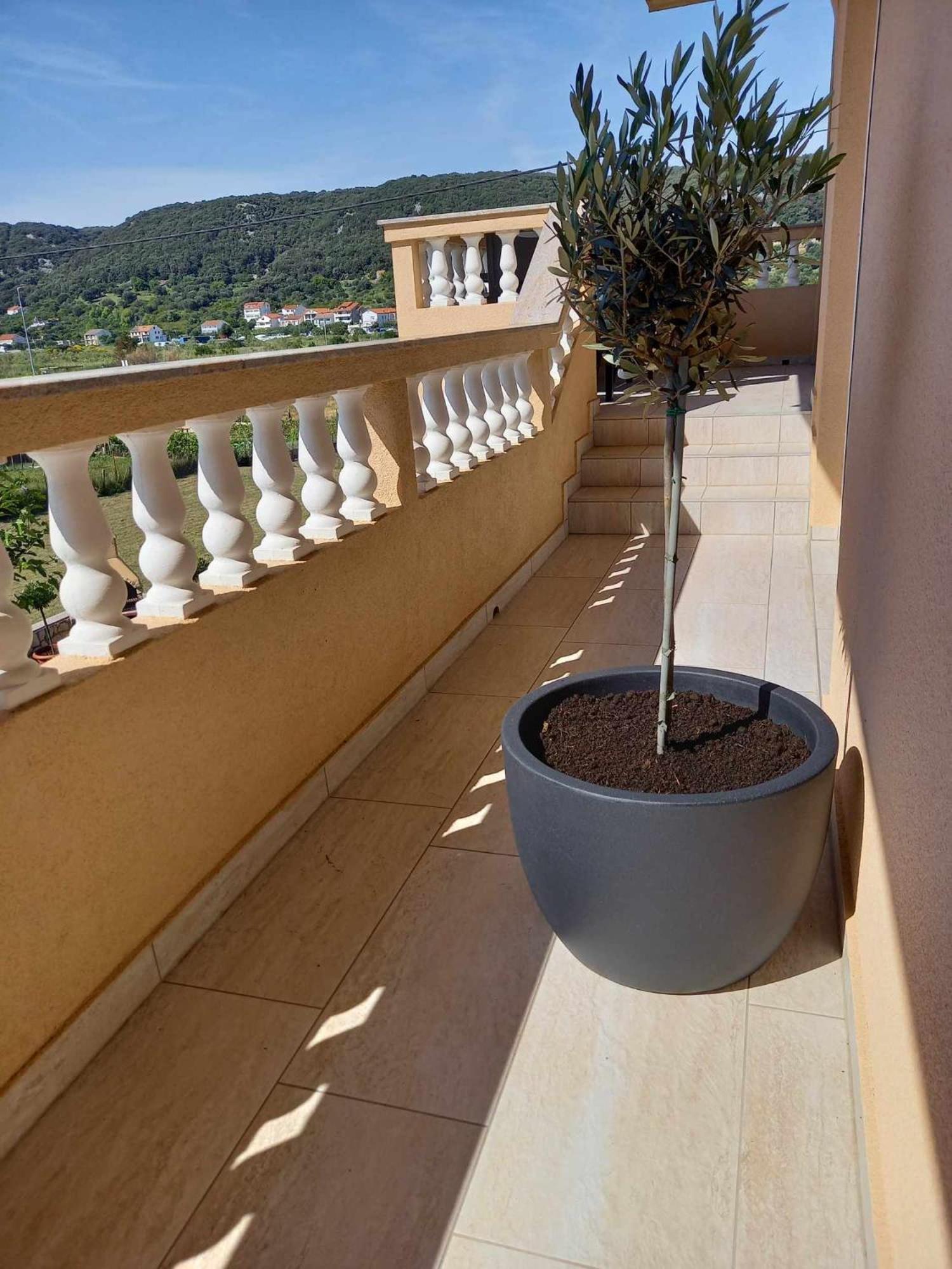 Apartman Stela Daire Rab Town Dış mekan fotoğraf